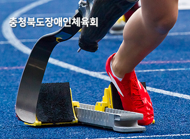 장애인체육회